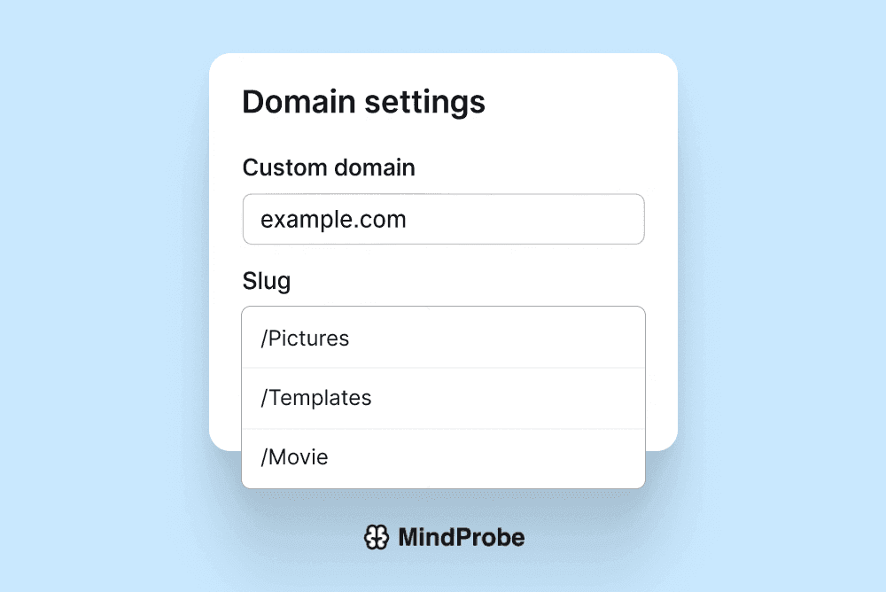 Domain settings panel showing custom domain input and slug field.